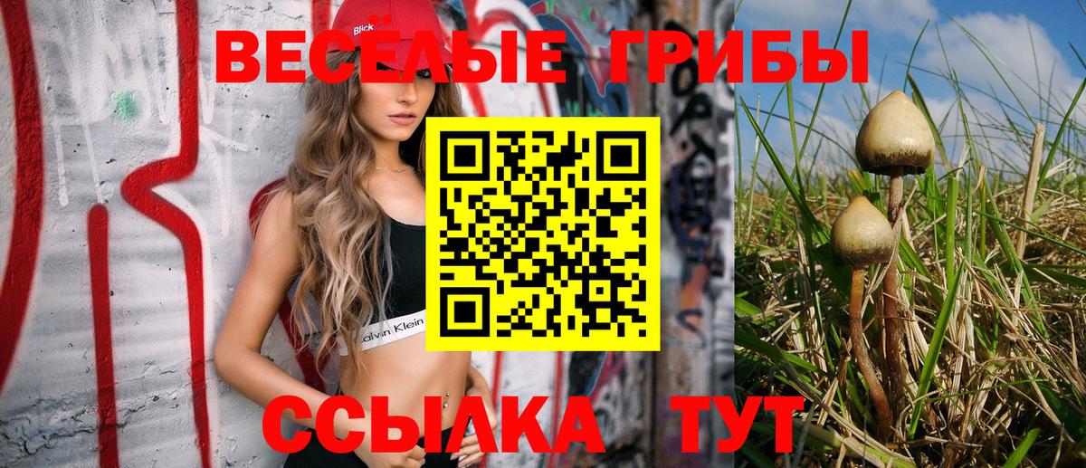 Галлюциногенные грибы мицелий Славянск-на-Кубани