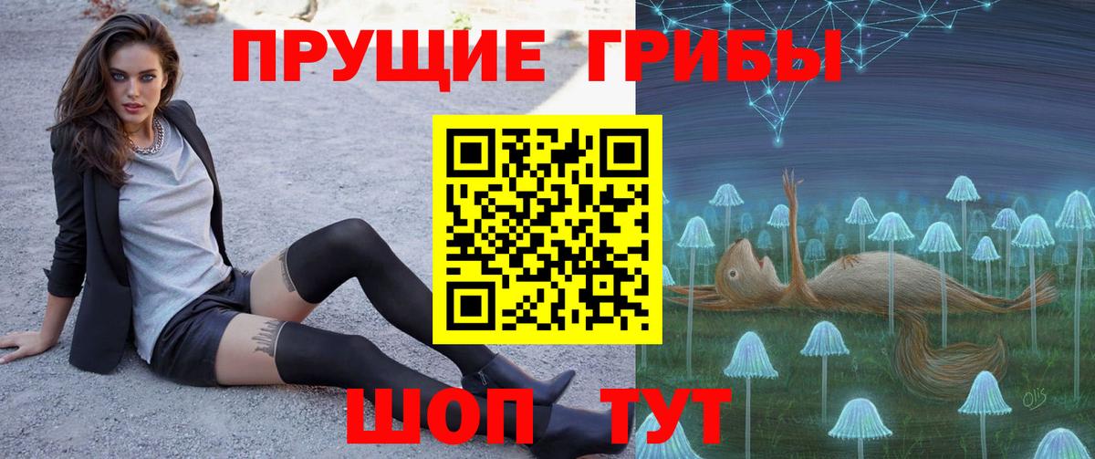 Галлюциногенные грибы MAGIC MUSHROOMS  Псилоцибиновые грибы Cubensis  Славянск-на-Кубани  Вход с VPN 